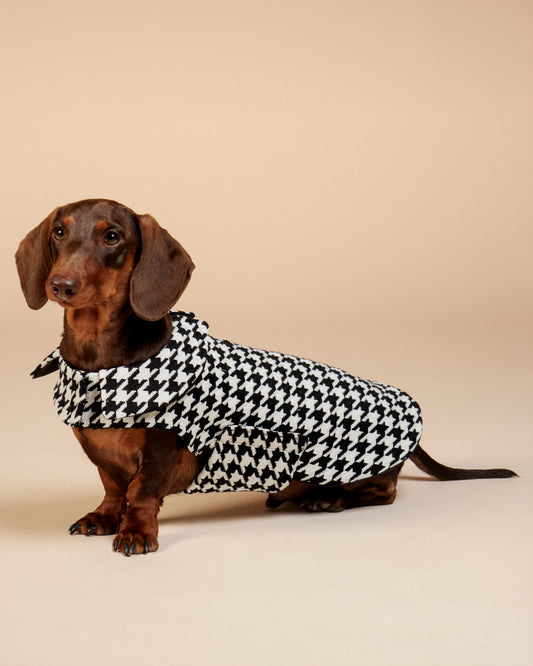 Veste Pied-de-Poule Laine Noir et Blanc pour Teckel - Manteau Chien Luxe - Coupe Spéciale Morphologie Allongée - Vêtement Chien Premium