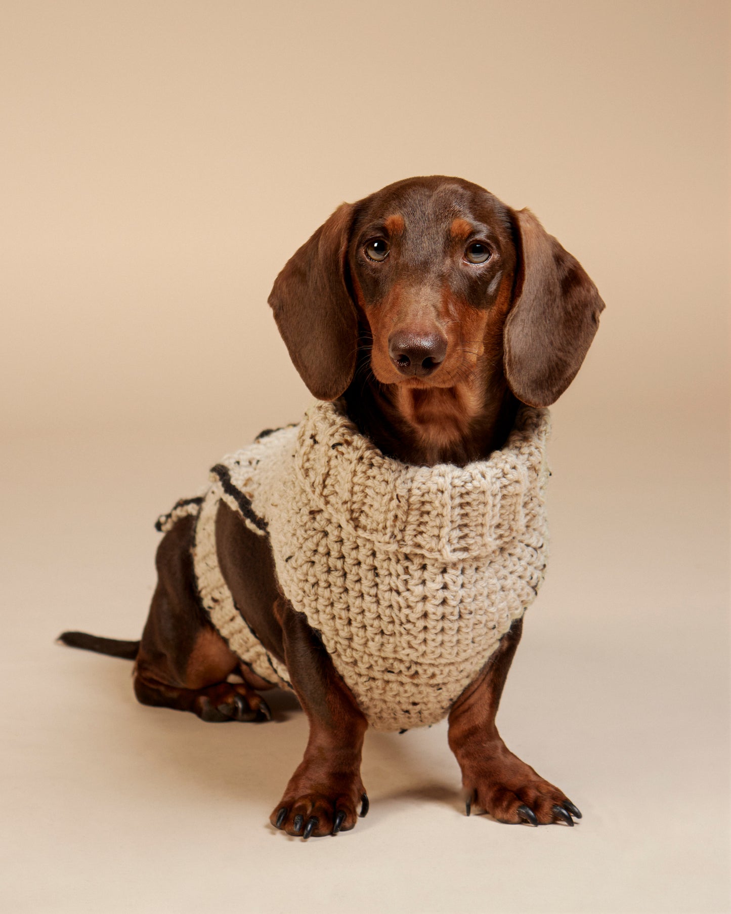 Pull-Poncho Teckel Laine - Vêtement Chien Fait Main Paris - Pull Chien Chaud - Coupe Spéciale Morphologie Allongée - Col Roulé