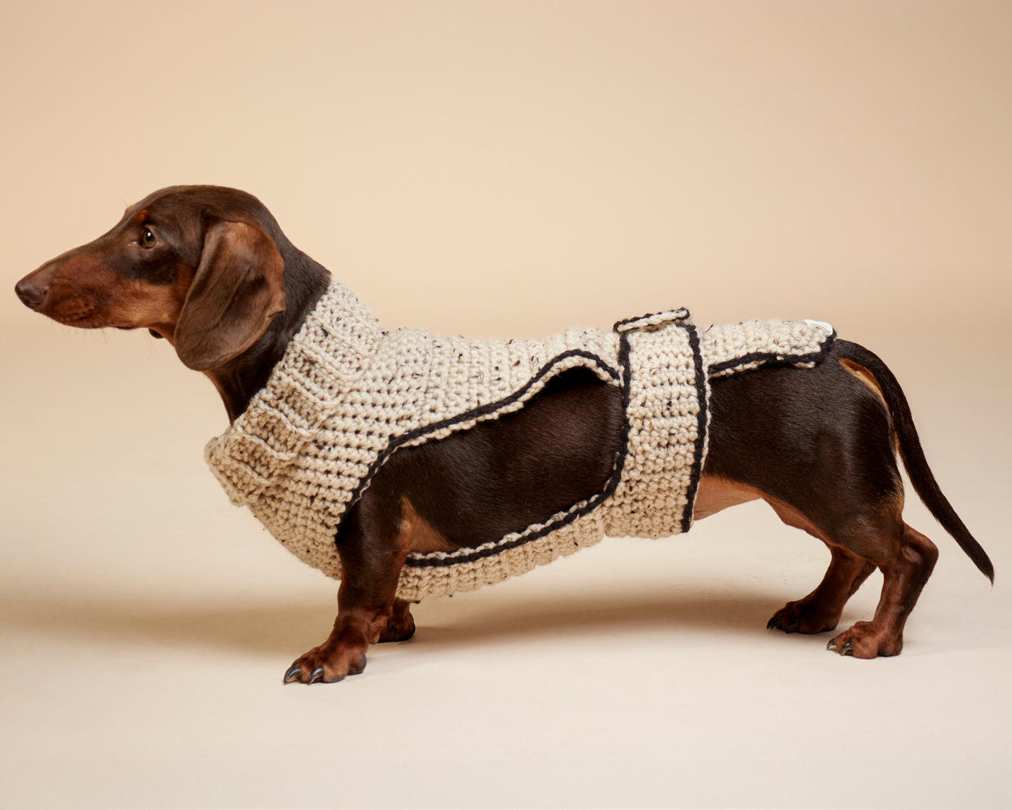 Pull-Poncho Teckel Laine - Vêtement Chien Fait Main Paris - Pull Chien Chaud - Coupe Spéciale Morphologie Allongée - Col Roulé