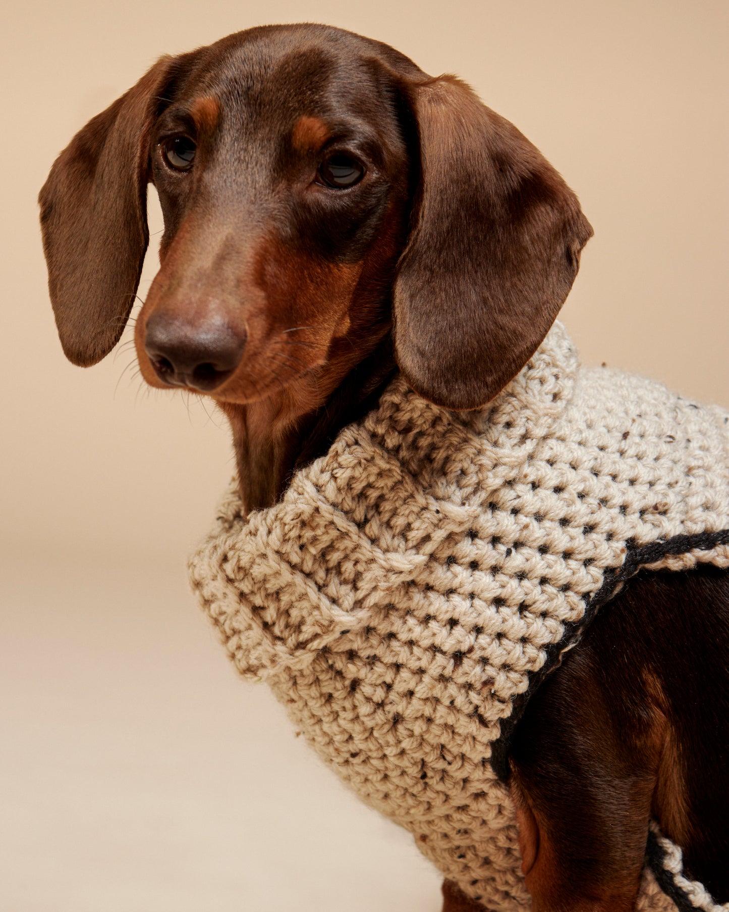 Pull-Poncho Teckel Laine - Vêtement Chien Fait Main Paris - Pull Chien Chaud - Coupe Spéciale Morphologie Allongée - Col Roulé