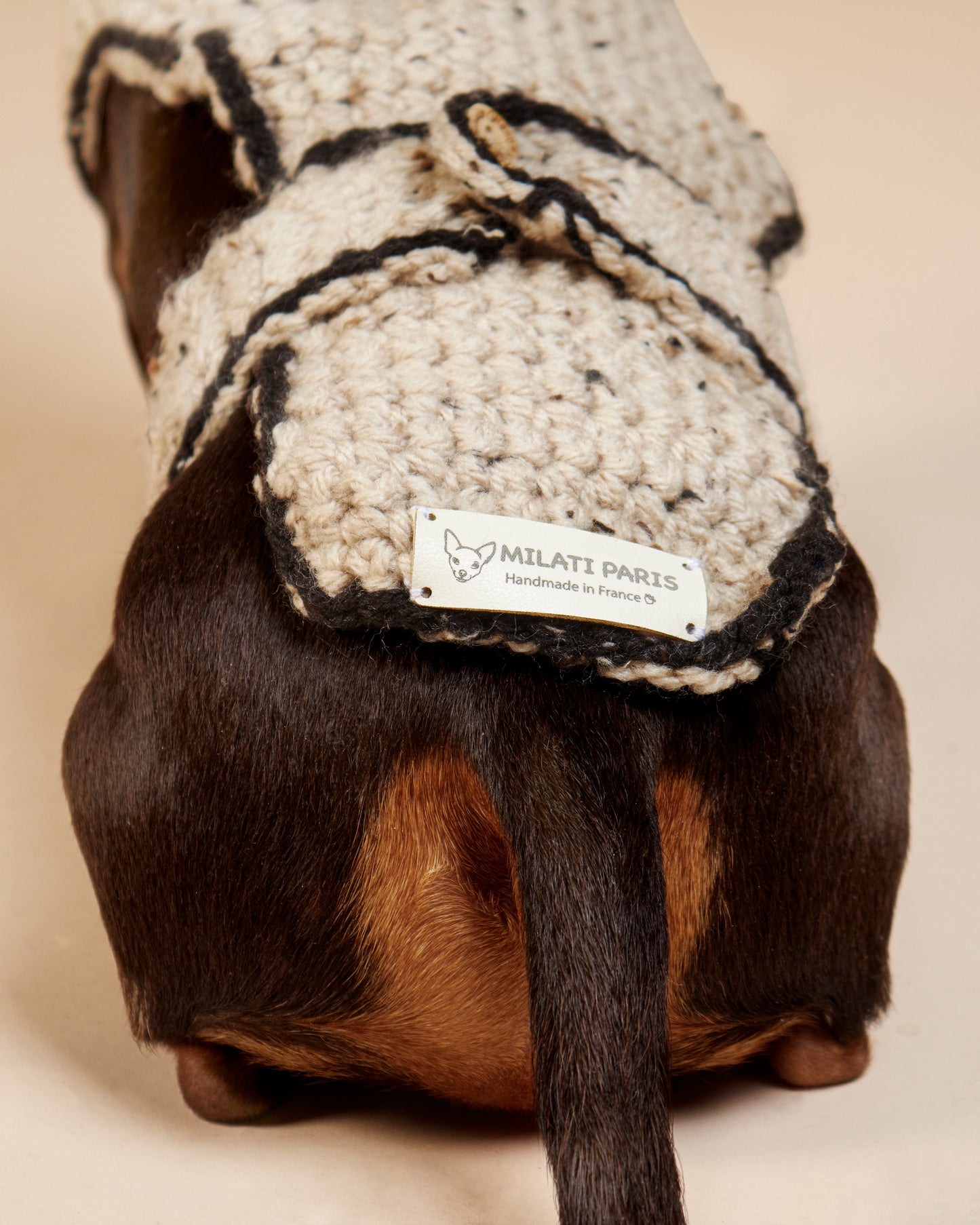 Pull-Poncho Teckel Laine - Vêtement Chien Fait Main Paris - Pull Chien Chaud - Coupe Spéciale Morphologie Allongée - Col Roulé