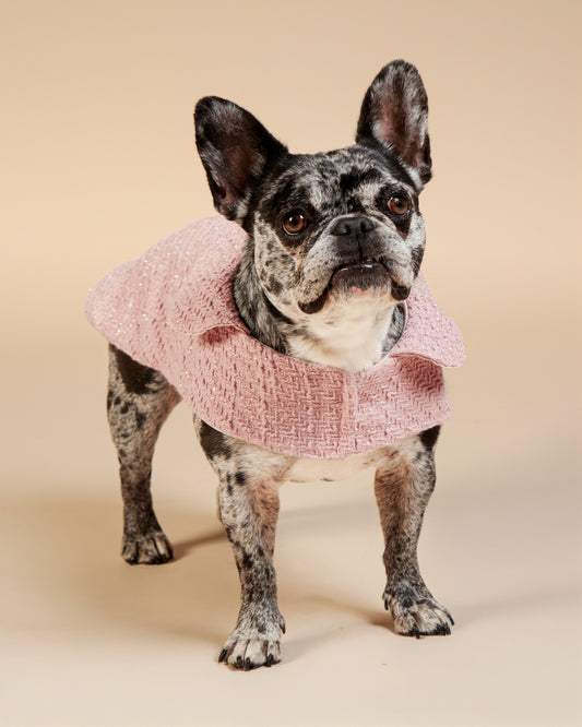 Manteau en tweed Claudine pour bouledogue français & carlin – Fait main à Paris