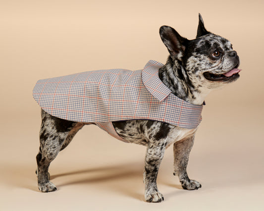 Manteau Charle pour bouledogue français & carlin – Fait main à Paris