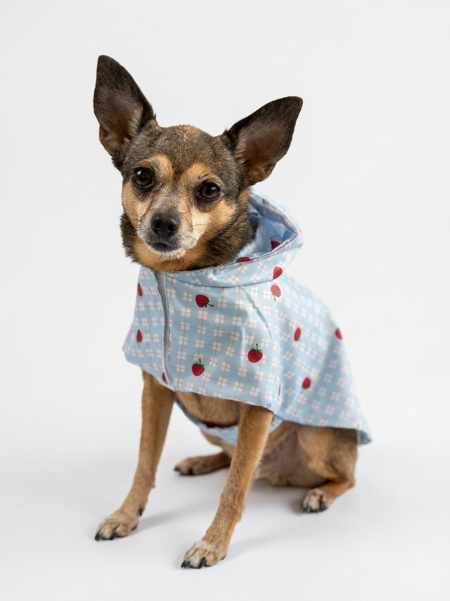 Imperméable Réversible Cœurs pour Chien 🌧️ | Manteau Pluie Imperméable | Milati Paris