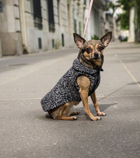 Veste en lain  pour petit chien LEOPARD GRIS