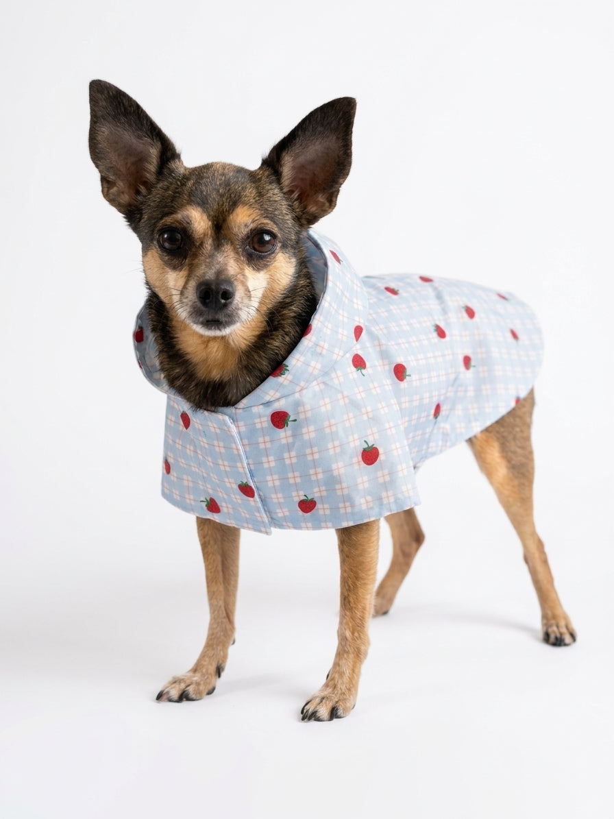 Imperméable Réversible Cœurs pour Chien 🌧️ | Manteau Pluie Imperméable | Milati Paris