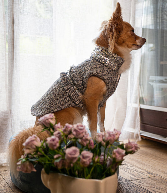 Manteau en tweed pour petit chien PRESLE