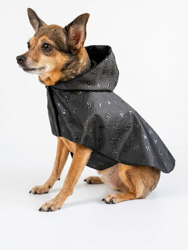 Imperméable Noir Uni pour Chien 🖤 | Manteau Pluie Léger & Imperméable | Milati Paris