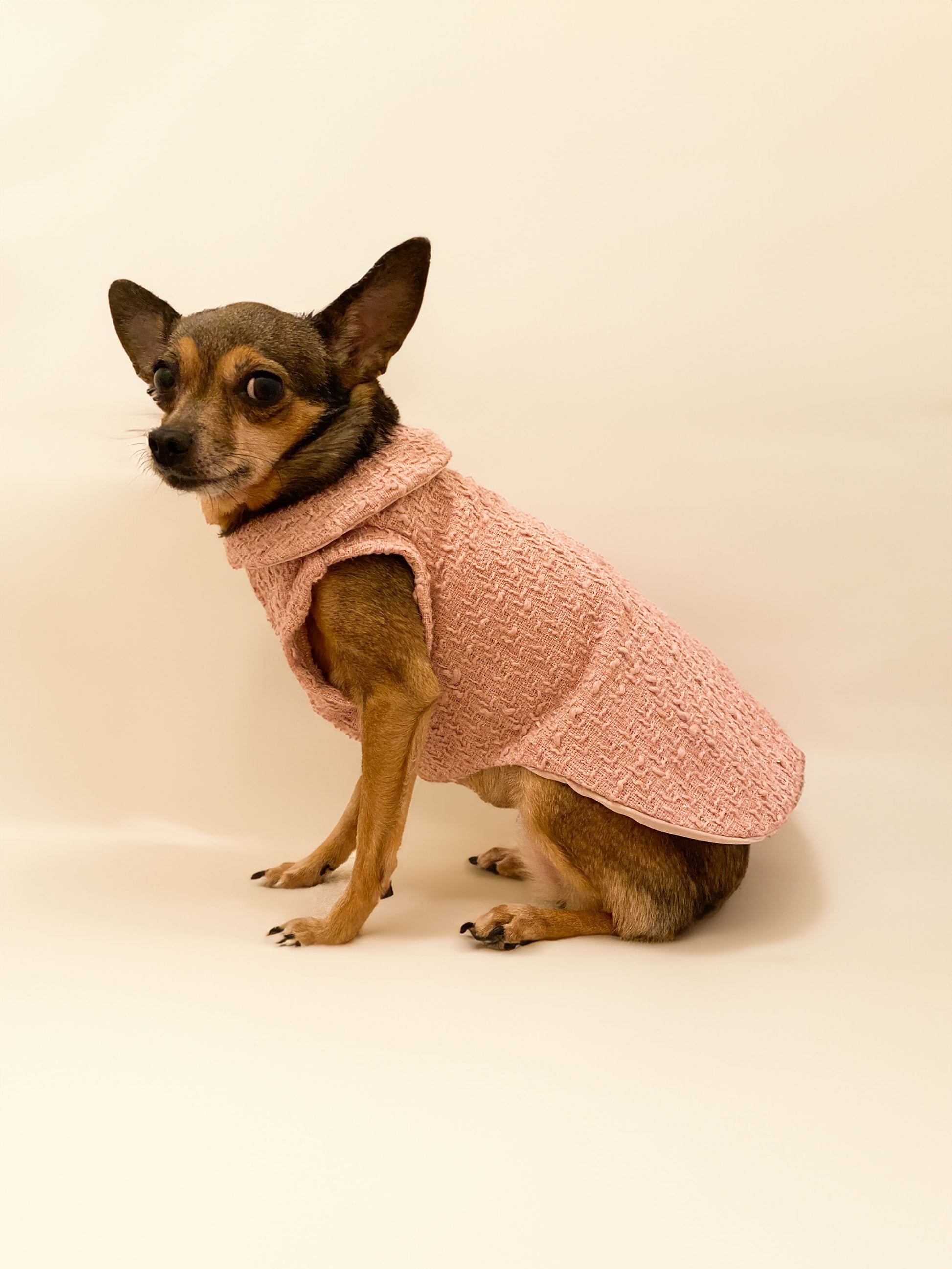 Veste Manteau Chiot Chihuahua Manteau,Veste Pour Chien Avec