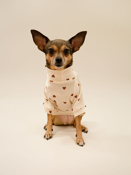 Sweatshirt cœurs pour chien – MilatiParis | Made in Paris